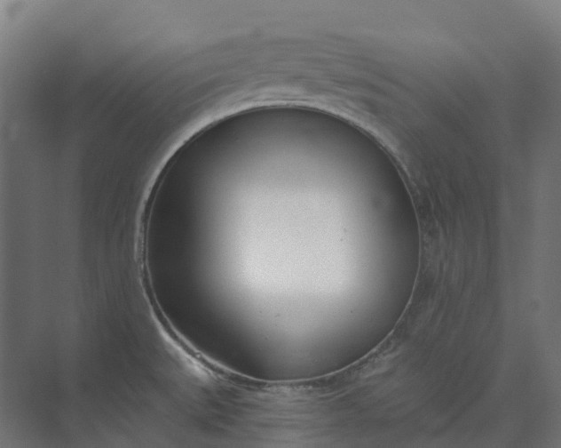 X0000073951527200609051739