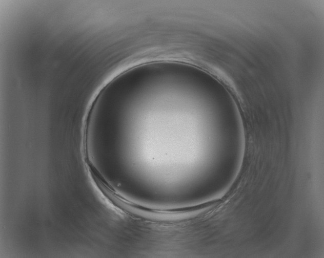 X0000073951528200609051739