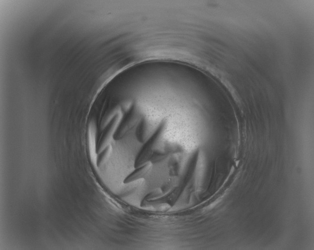 X0000073951529200609051740