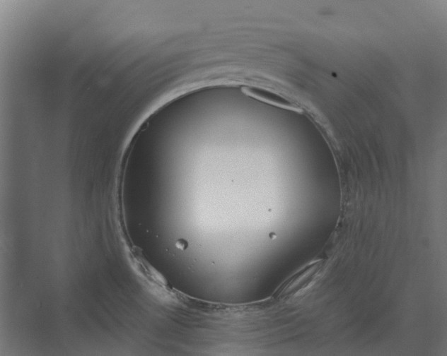 X0000073951530200609051740