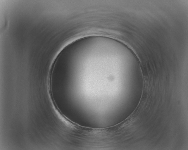 X0000073951531200609051740