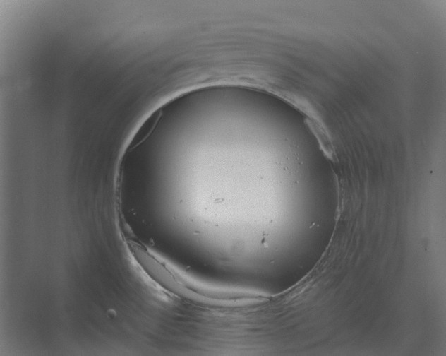 X0000073951532200609051740