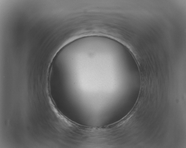 X0000073951534200609051740