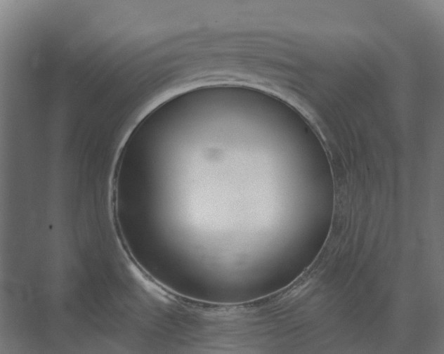 X0000073951535200609051740