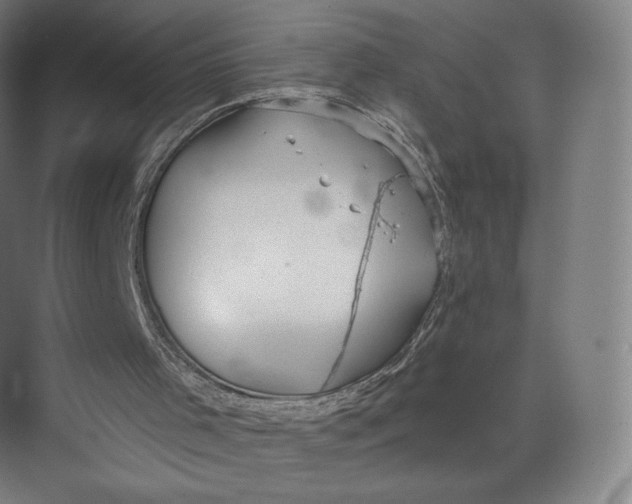 X0000073950001200609111702