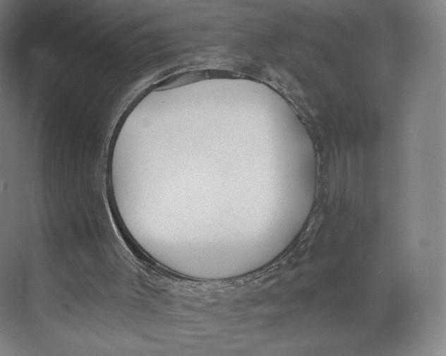 X0000073950003200609111702