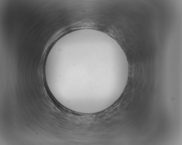 X0000073950004200609111702