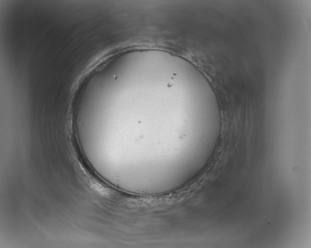 X0000073950005200609111702