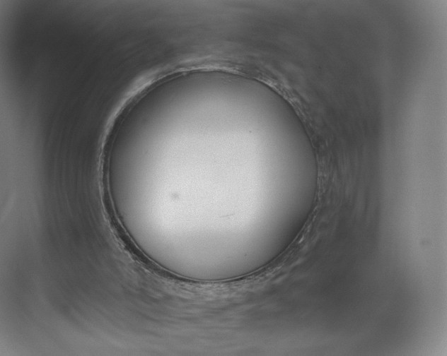 X0000073950006200609111702