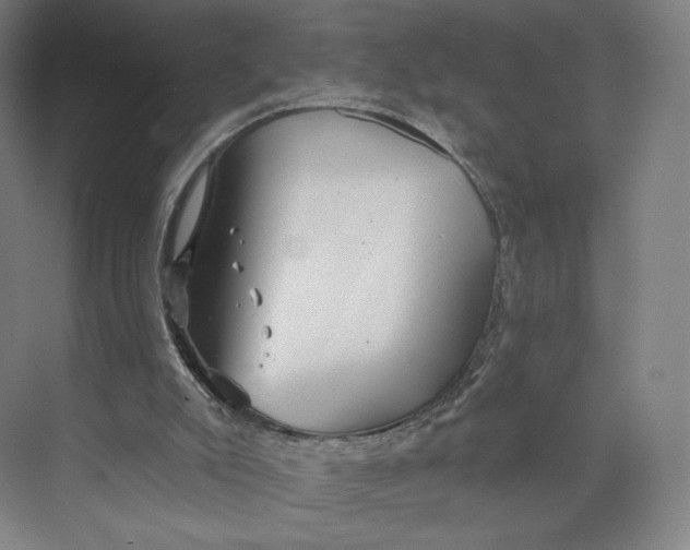 X0000073950007200609111702