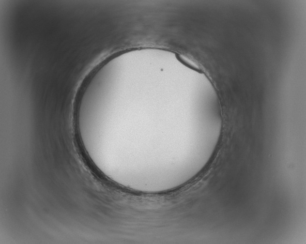 X0000073950008200609111702