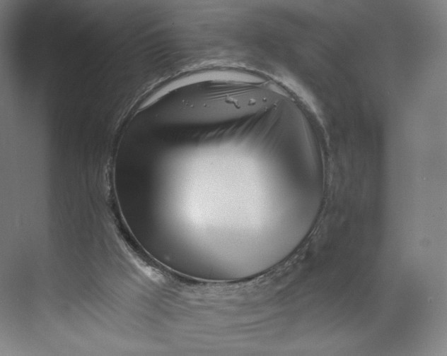 X0000073950009200609111702