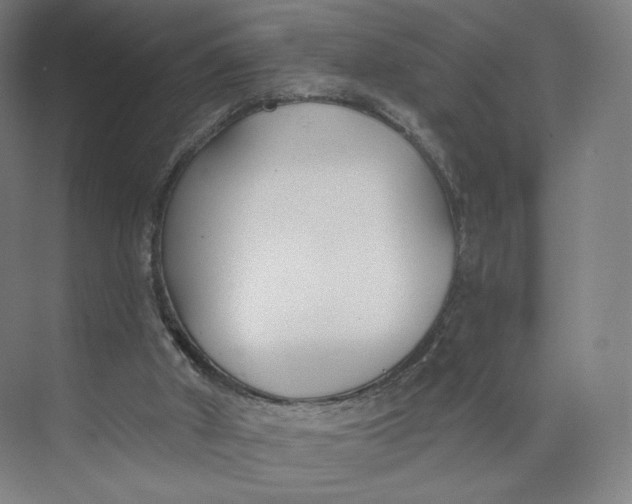 X0000073950010200609111702