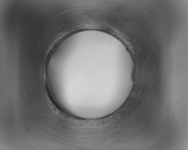 X0000073950011200609111702