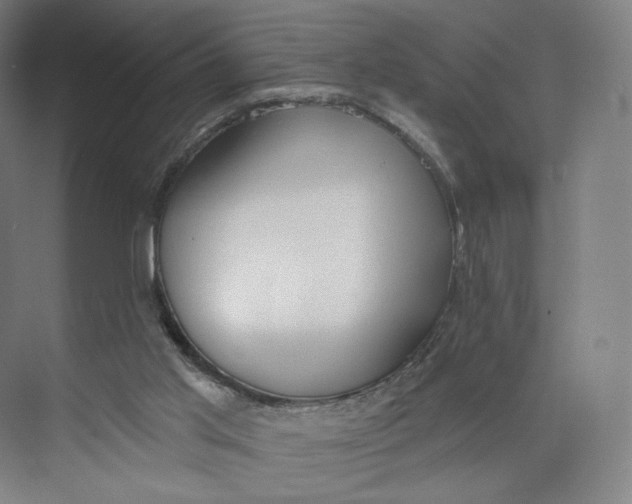 X0000073950013200609111702