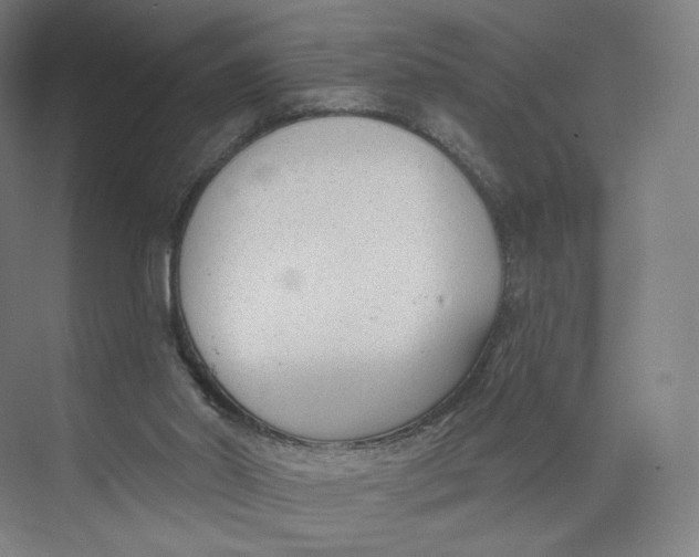 X0000073950014200609111702