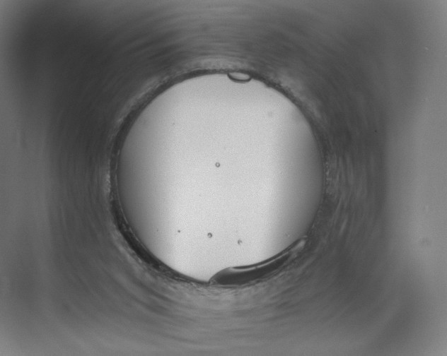 X0000073950015200609111702