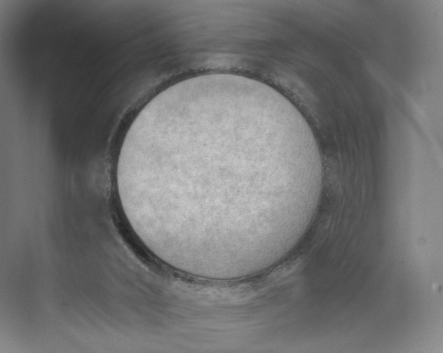 X0000073950016200609111702