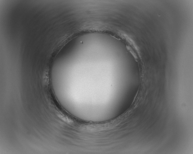 X0000073950017200609111702