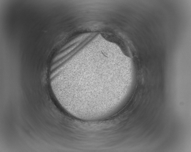 X0000073950018200609111702