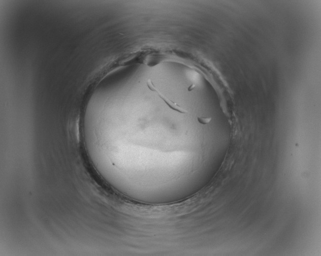 X0000073950019200609111702