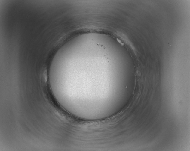 X0000073950021200609111702