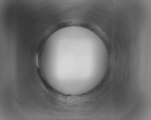 X0000073950022200609111702