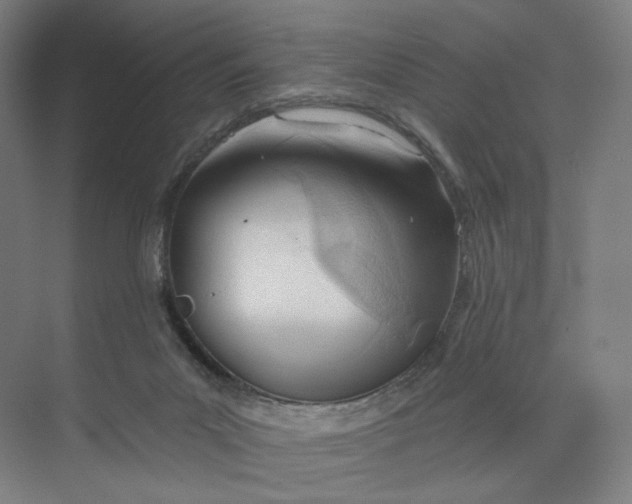 X0000073950023200609111702