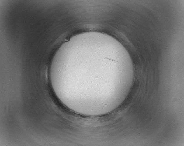 X0000073950024200609111702