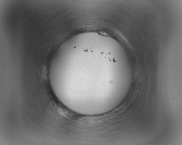 X0000073950025200609111702