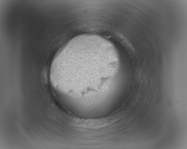 X0000073950026200609111702