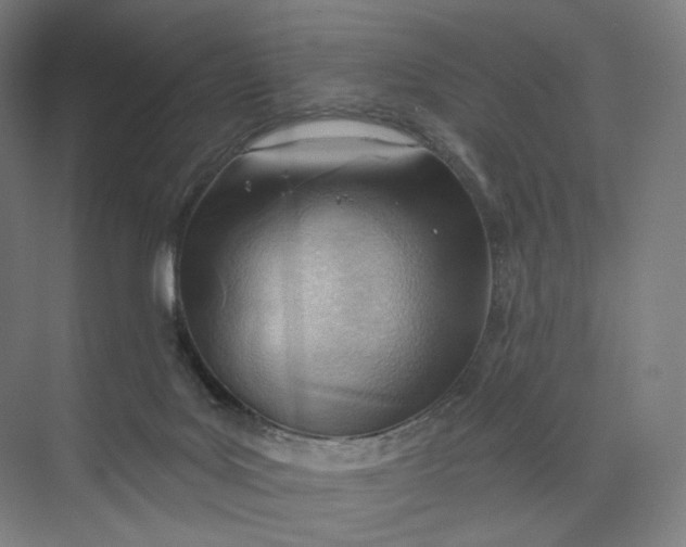 X0000073950027200609111702