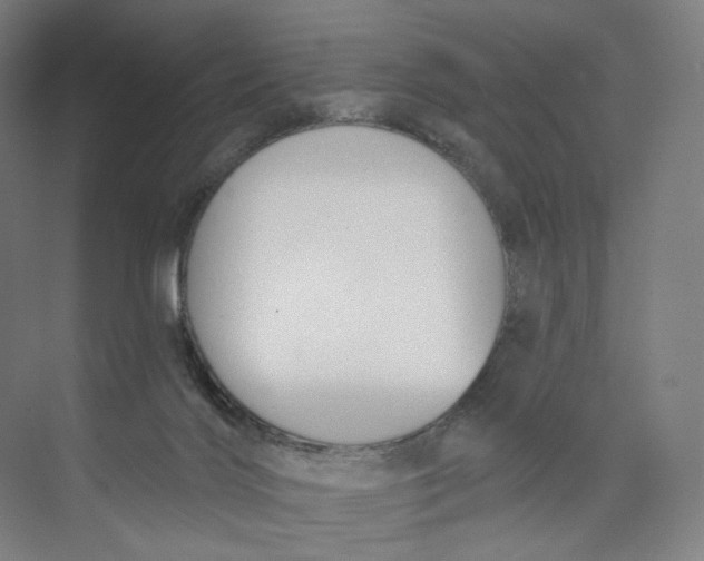 X0000073950028200609111702