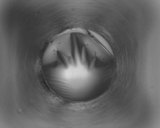 X0000073950029200609111702