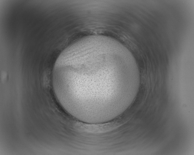 X0000073950030200609111702