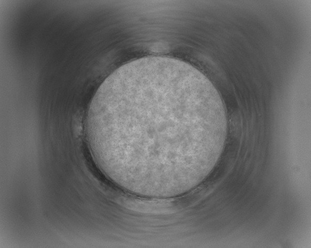 X0000073950032200609111702