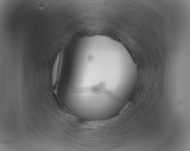 X0000073950033200609111702