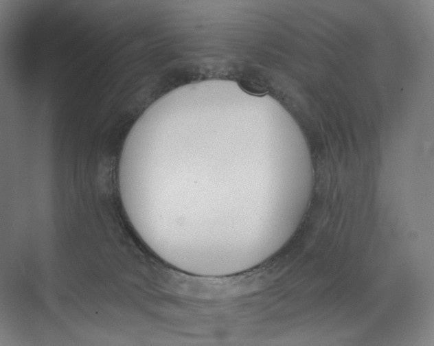 X0000073950034200609111701