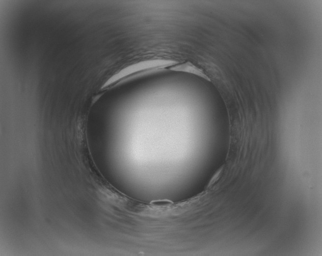 X0000073950037200609111701