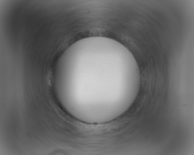 X0000073950038200609111701