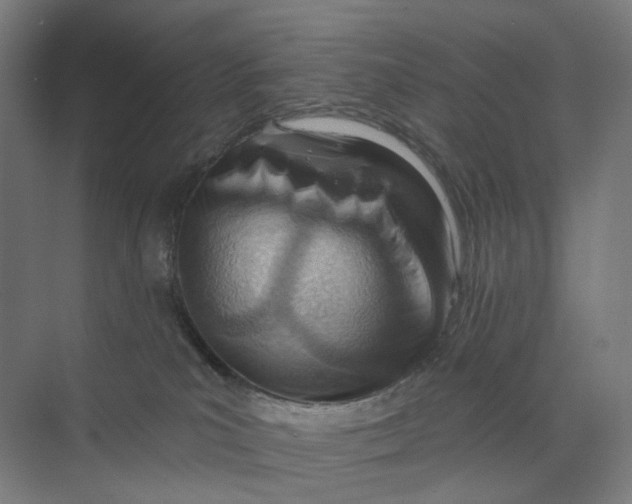 X0000073950039200609111701