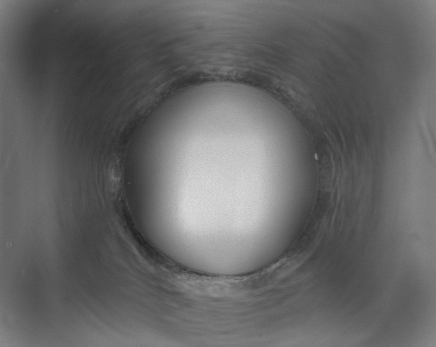 X0000073950040200609111701