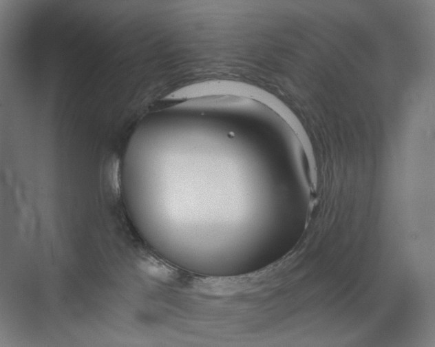 X0000073950041200609111701