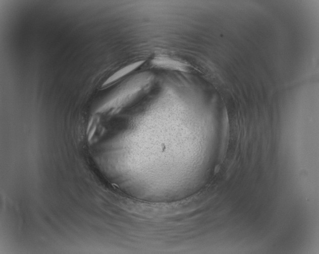 X0000073950043200609111701