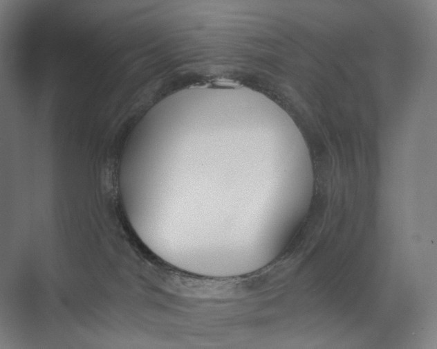 X0000073950044200609111701