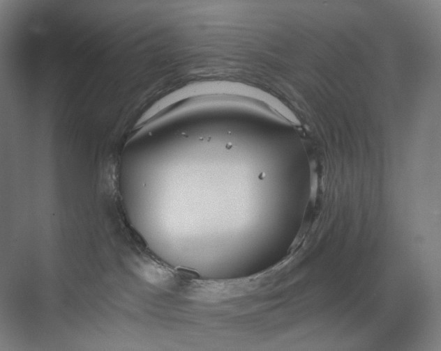 X0000073950045200609111701