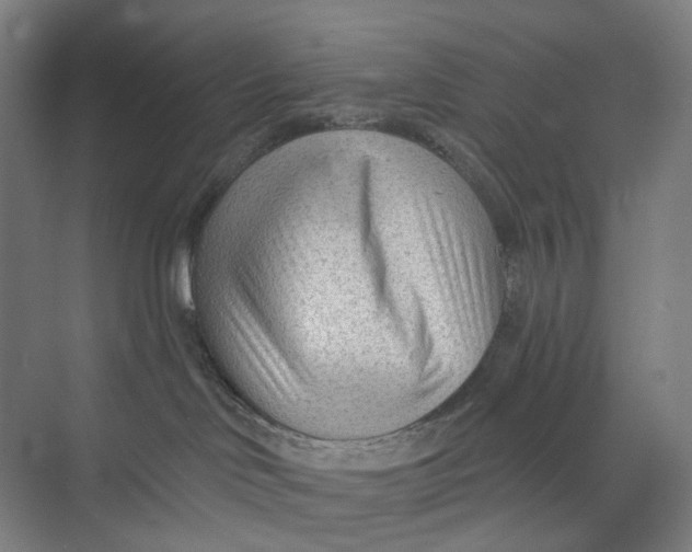 X0000073950046200609111701