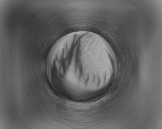 X0000073950048200609111701