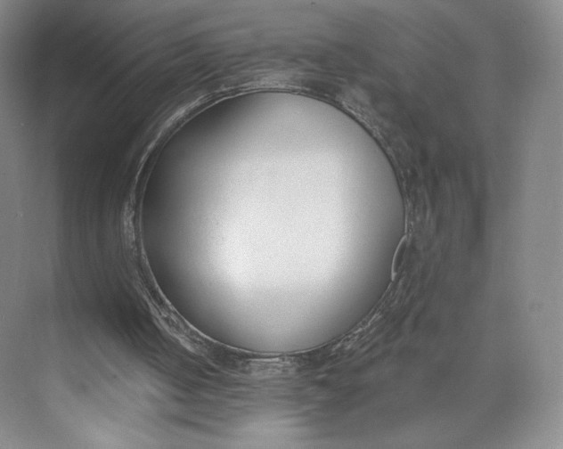 X0000073950050200609111700