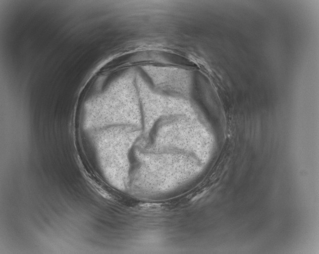 X0000073950052200609111700